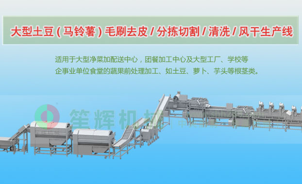 金湖连续式土豆去皮清洗切割风干生产线